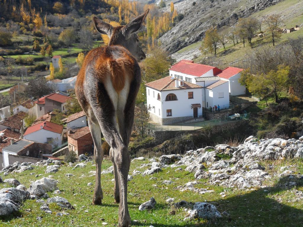 Casa Rural El Perchel Pontones  Værelse billede